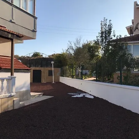 Willa Baran Center *