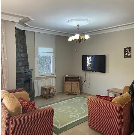 Willa Baran Center *