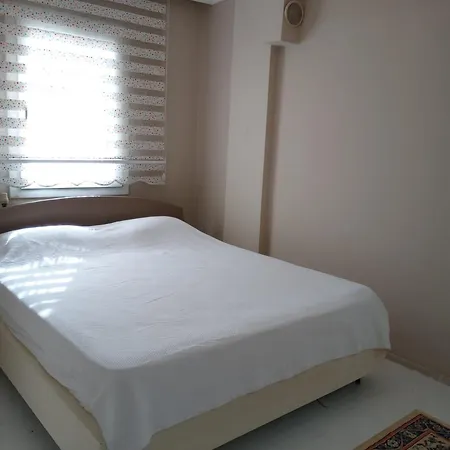 Willa Baran Center *