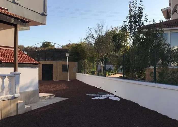 Willa Baran Center *